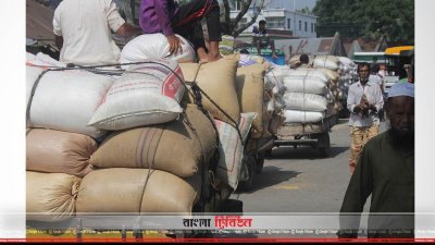 কৃষকরা বাঘারপাড়া উপজেলার খাজুরার হাটে ধান নিয়ে যাচ্ছে