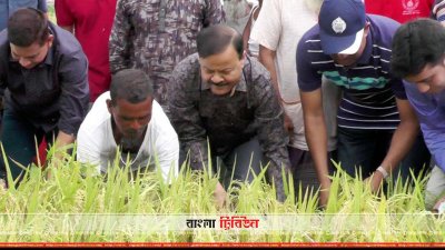 ধান কেটে দিলেন রংপুর মহানগর পুলিশের সদস্যরা