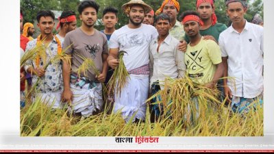 ধানক্ষেতে ছাত্রলীগ নেতাকর্মীরা