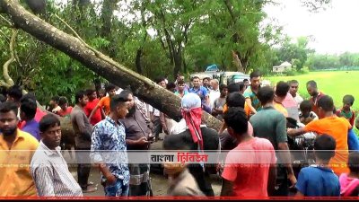 রাস্তার ওপর গাছ পড়ে যান চলাচল বন্ধ