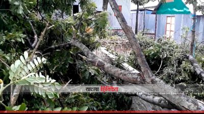 ঝড়ে বিধ্বস্ত বাড়ি ও গাছপালা