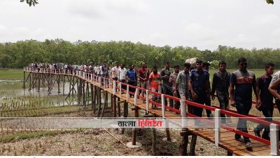 সেতুর ওপর দিয়ে বিল পার হচ্ছেন স্থানীয়রা