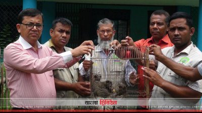  বন্যপ্রাণী রক্ষা, উদ্ধার ও পুর্নবাসন কেন্দ্রের কাছে গন্ধগোকুলের বাচ্চাগুলো হস্তান্তর করেন গোপালগঞ্জ বন বিভাগ 