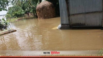 তিস্তায় পানি বৃদ্ধি পাওয়ায় প্লাবিত হয়েছে নিম্নাঞ্চল