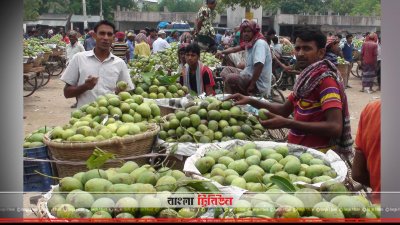 চাঁপাইনবাবগঞ্জে জমে উঠেছে আমবাজার