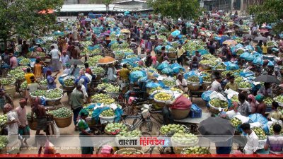 চাঁপাইনবাবগঞ্জে জমে উঠেছে আমের বাজার