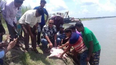 উদ্ধার কচ্ছপটি অবমুক্ত করা হয়