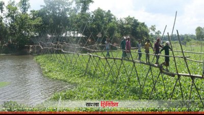 ছোট ফেনী নদীর ওপর বাঁশের সাঁকো