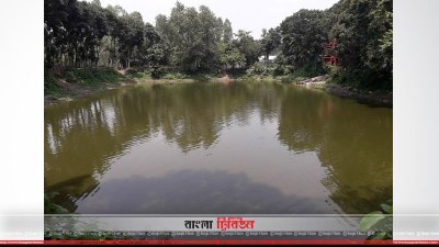 ইউনিয়ন পরিষদ থেকে লিজ নেওয়া পুকুরে হচ্ছে পিরানহা মাছের চাষ
