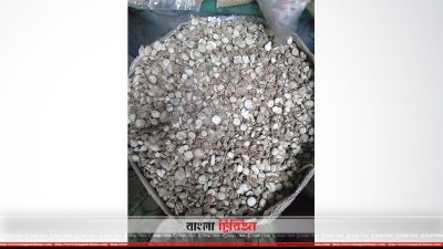 একাঙ্গি