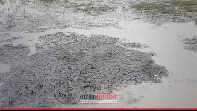 বিস্তীর্ণ এলাকা জুড়ে অনিয়ন্ত্রিত বর্জ্য 