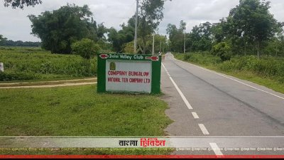 পাত্রখোলা চা বাগান