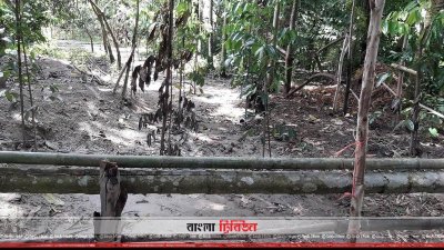 পলাশবাড়ীতে দুই যুগের পুরনো রাস্তা বন্ধের অভিযোগ