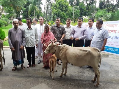 গাভী পাওয়া মোমরাজ বেগম
