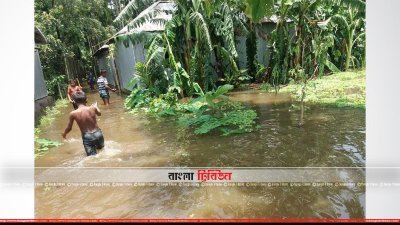 লালমনিরহাটের তিস্তার পানি বেড়ে নিম্নাঞ্চল প্লাবিত