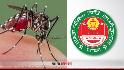 ডেঙ্গু ও ডিএসসিসি