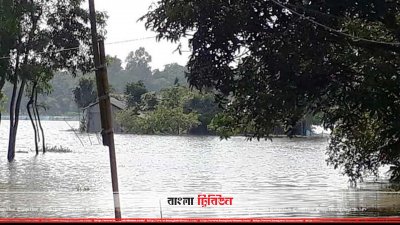 শেরপুরে বন্যা