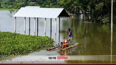 শেরপুরে বন্যা