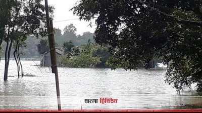 শেরপুরে বন্যা