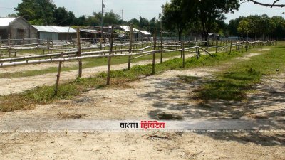 গরুশূন্য খাটাল