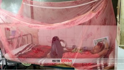 চাঁপানবাগঞ্জে হাসপাতালে ডেঙ্গু রোগী