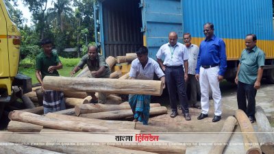 কুমিল্লায় সেগুন কাঠসহ কাভার্ডভ্যান আটক
