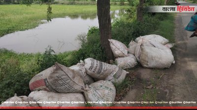 রাস্তার পাশে ফেলা হচ্ছে পচা পেঁয়াজ