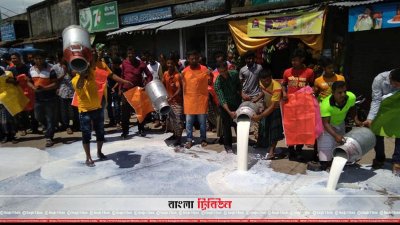 ভাঙ্গুড়ায় সড়কে দুধ ঢেলে প্রতিবাদ জানান খামারিরা