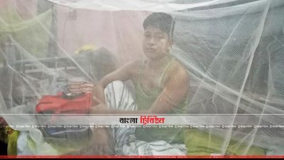 ঢাকায় আক্রান্ত হয়ে ঠাকুরগাঁওয়ে ফিরেছে ৬ ডেঙ্গু রোগী
