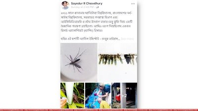 এডিস মশার লার্ভা কিভাবে বড় হয় তা নিয়ে অধ্যাপক সাইদুর রহমানের ফেসবুক পোস্ট