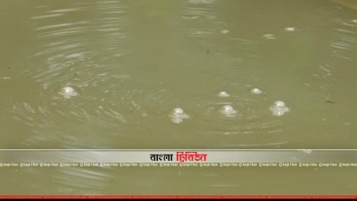 ডোবার পানি থেকে সারাক্ষণ বুদবুদ উঠছে