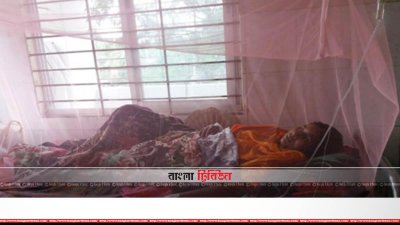 গাংনী উপজেলা স্বাস্থ্য কমপ্লেক্সে চিকিৎসাধীন আম্বিয়া খাতুন