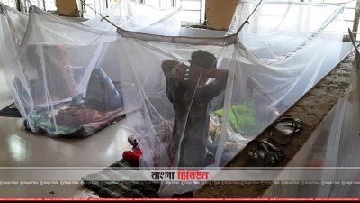 শেরপুর জেলা হাসপাতালে ডেঙ্গু রোগী