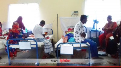 খুলনায় ডেঙ্গু রোগী বাড়ছে