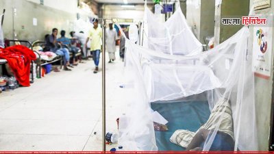 মশকনিধনে ভাটা পড়লে বৃষ্টিতে ডেঙ্গু বাড়ার শঙ্কা