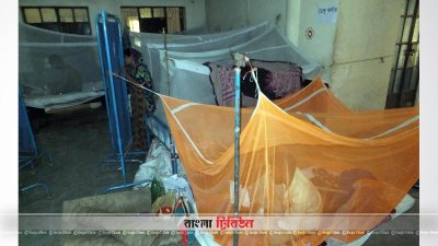 রাজবাড়ী সদর হাসপাতালে ডেঙ্গু রোগী