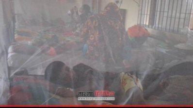 খুলনার একটি হাসপাতালে মশারির ভেতরে ডেঙ্গু রোগী