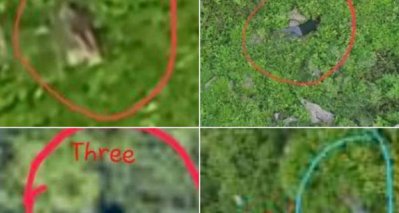 পাকিস্তানের ৫ অনুপ্রবেশকারীকে হত্যার দাবি ভারতের, ছবি প্রকাশ