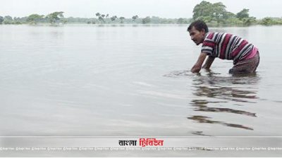ময়মনসিংহে বন্যায় ভেসে গেছে ৫ কোটি টাকার মাছ