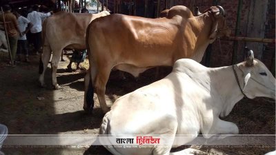 ছবিটি সাগরিকা বাজার থেকে তোলা