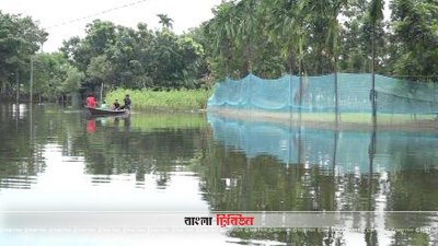 ময়মনসিংহে বন্যায় ভেসে গেছে ৫ কোটি টাকার মাছ