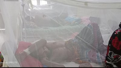 সাতক্ষীরার হাসপাতালে ডেঙ্গু রোগী