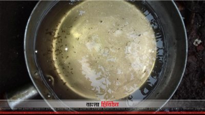 এডিস মশার লার্ভা (ছবি&ndash; প্রতিনিধি)