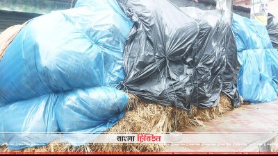 হাটে নিয়ে আসা কোরবানির পশুর জন্য রয়েছে ভ্রাম্যমাণ খড়-ভূসির দোকান