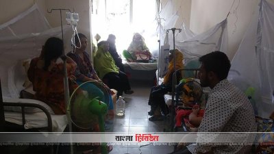 গোপালগঞ্জে ডেঙ্গু রোগী শনাক্ত ৮১, হাসপাতালে ভর্তি ৩৮