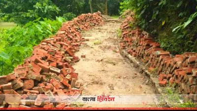 সরকারি রাস্তার ইট তুলে ফেলার অভিযোগ সাবেক জনপ্রতিনিধির বিরুদ্ধে