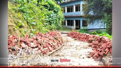 সরকারি রাস্তার ইট তুলে ফেলার অভিযোগ সাবেক জনপ্রতিনিধির বিরুদ্ধে