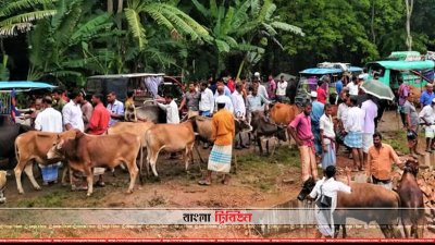 সড়কের ওপর পশুর হাট বসানো হয়েছে