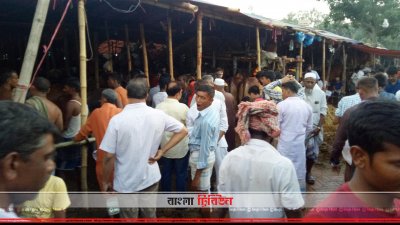 চট্টগ্রামে জমে উঠেছে পশুর হাট