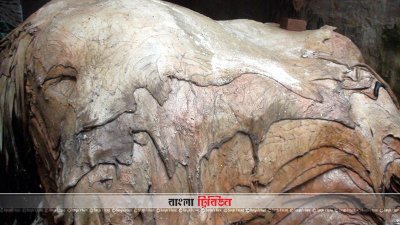 চামড়া কেনার প্রস্তুতি নেই চাঁপাইনবাবগঞ্জের ব্যবসায়ীদের